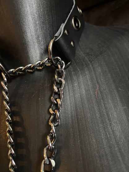 Chain Leash Collar