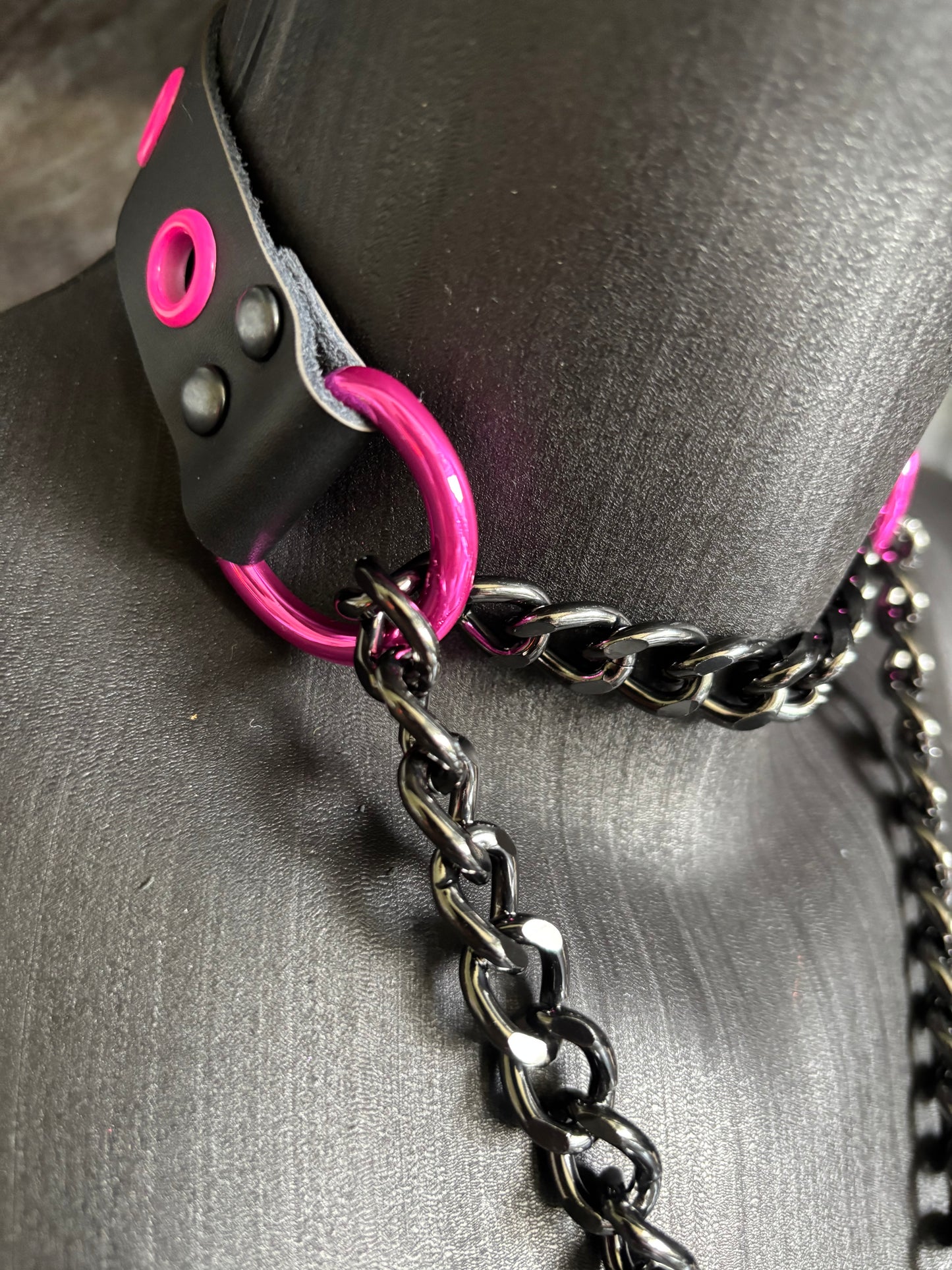 Chain Leash Collar