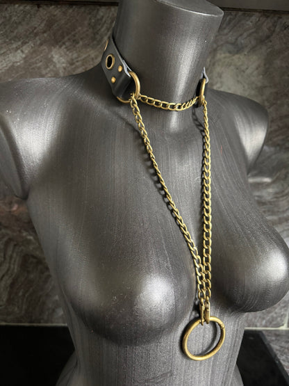 Chain Leash Collar