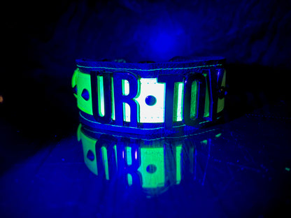 The Statement Collar